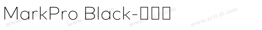 MarkPro Black字体转换